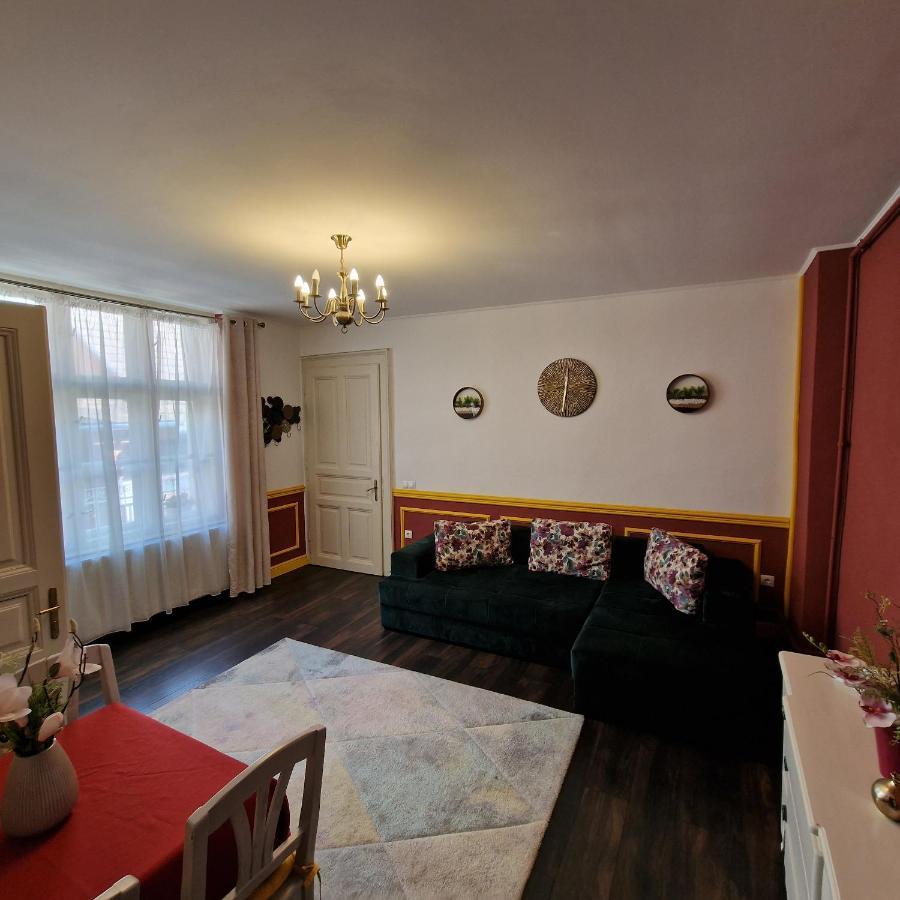 Central Park Apartment Сигишоара Екстериор снимка