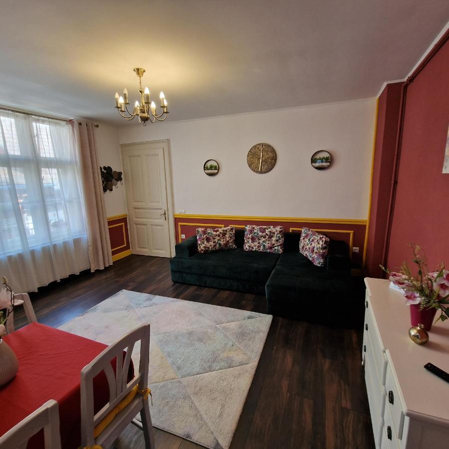 Central Park Apartment Сигишоара Екстериор снимка