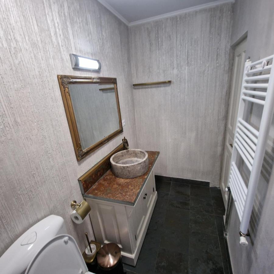 Central Park Apartment Сигишоара Екстериор снимка